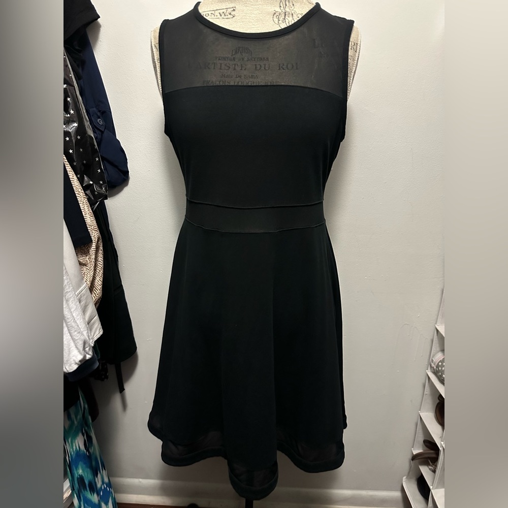 Express Fit and Flare Dress L
